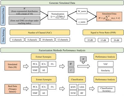 Evaluation of Methods for the Extraction of Spatial Muscle Synergies